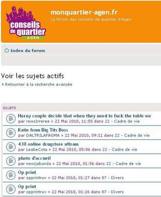 Conseils de Quartier
